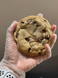 a person holding a chocolate chip cookie in a plastic glove